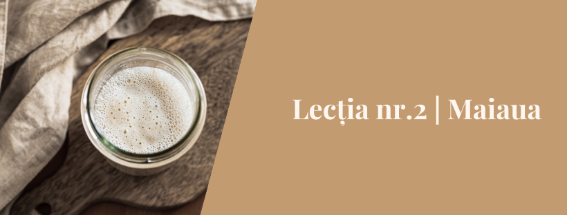 Lectia 2