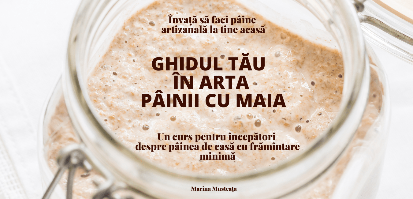 Curs ONLINE pentru începători în Arta Pâinii cu maia