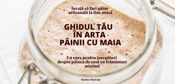 Curs ONLINE pentru începători în Arta Pâinii cu maia
